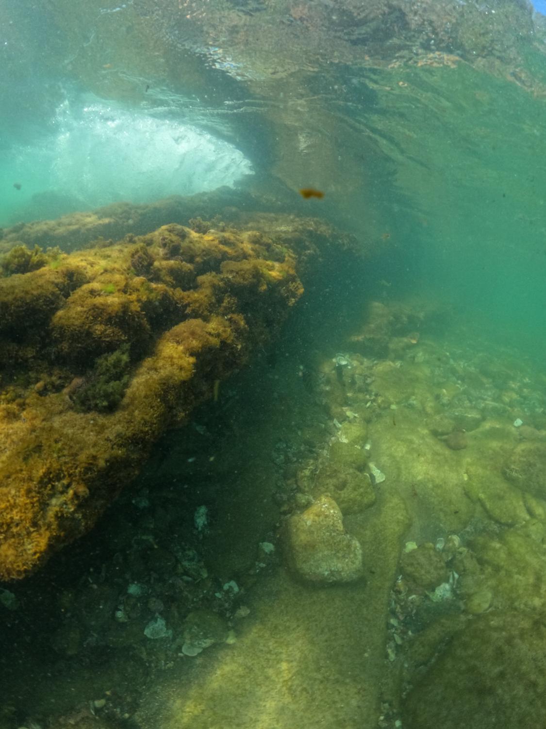Coral e pedras