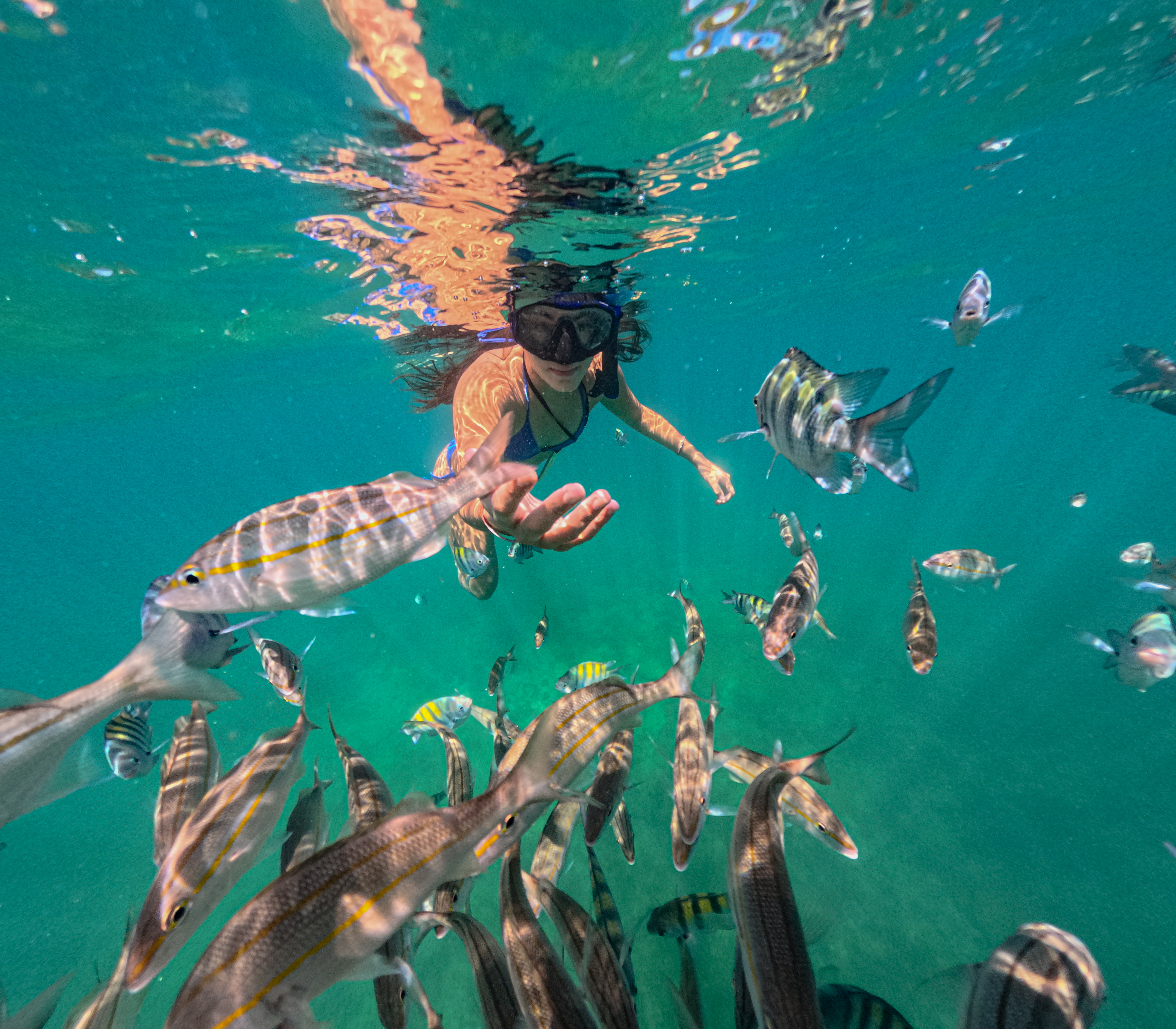 Snorkel
