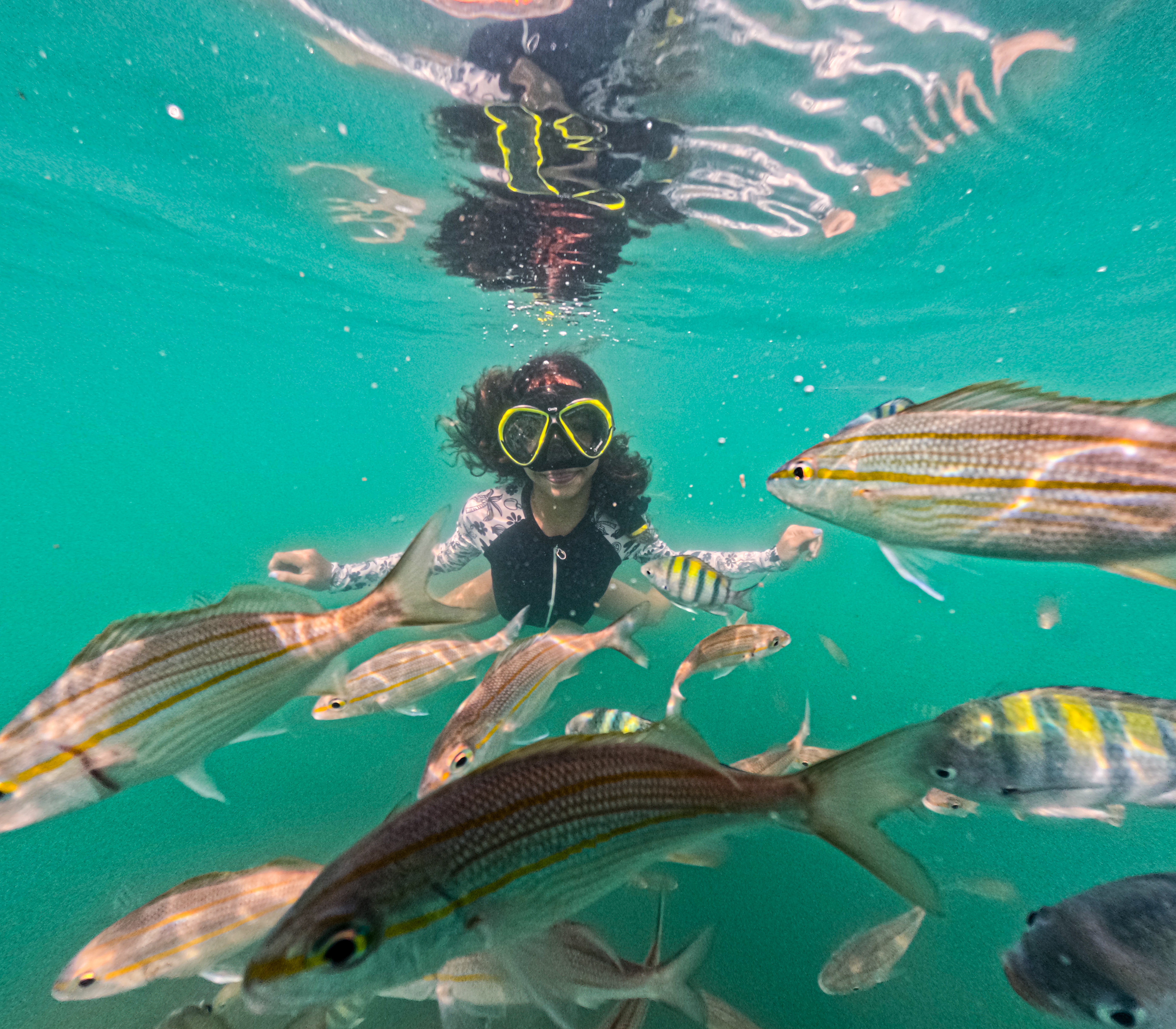 Snorkel